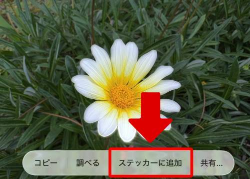 iPhoneステッカー機能の使い方を徹底解説！LINEで送る方法は？インスタの貼り方は？