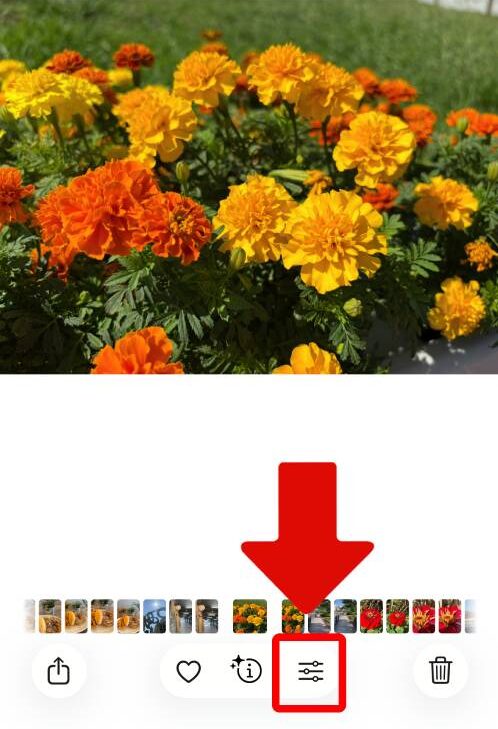 iPhoneステッカー機能の使い方を徹底解説！LINEで送る方法は？インスタの貼り方は？