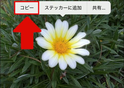 iPhoneステッカー機能の使い方を徹底解説！LINEで送る方法は？インスタの貼り方は？