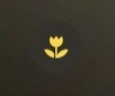 iPhone 17マクロ撮影