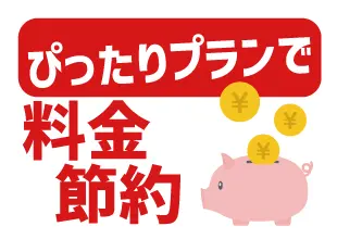 ぴったりプランで料金節約
