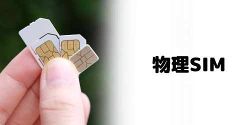 物理SIM
