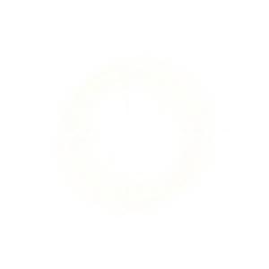 左側の光